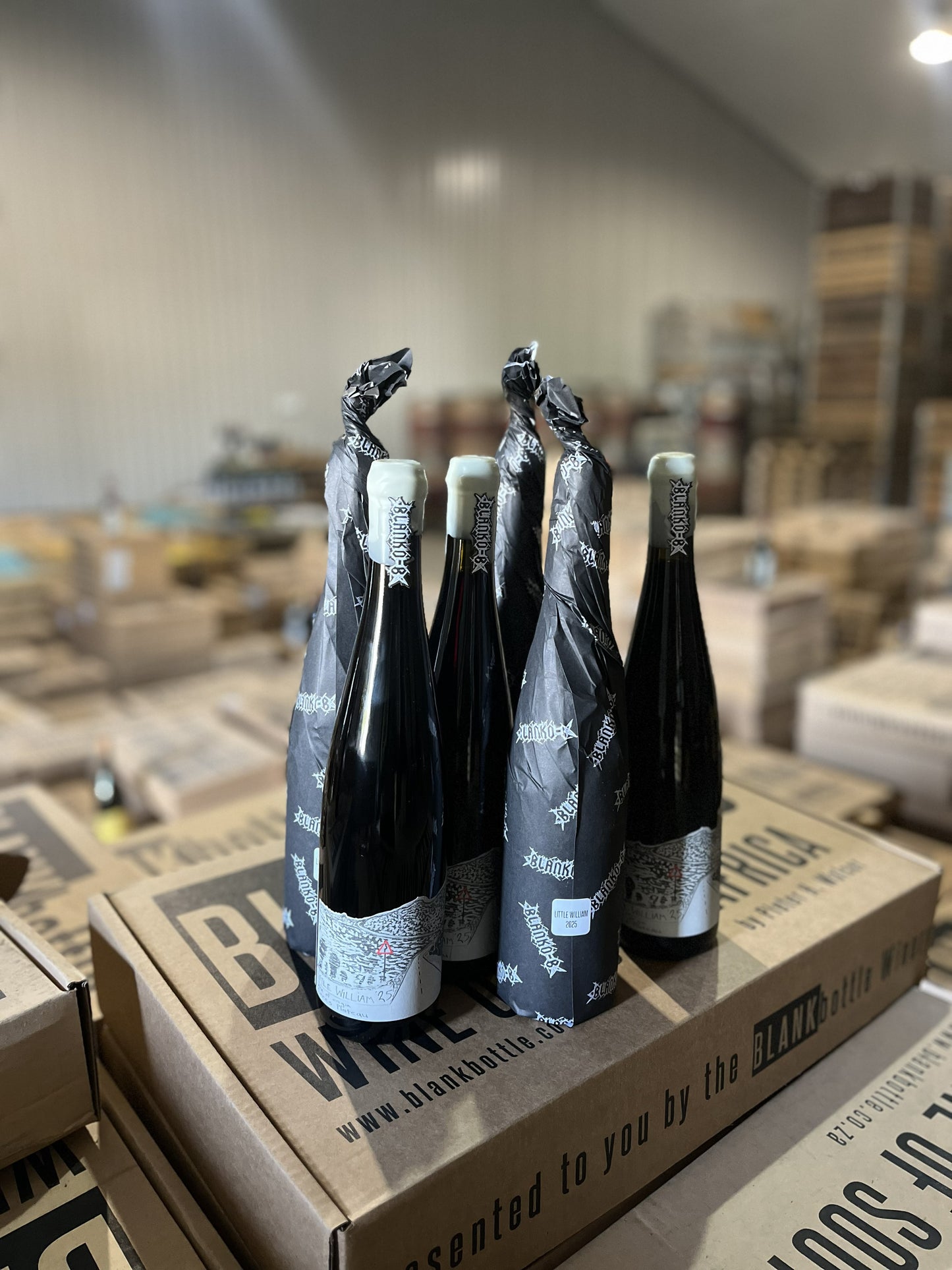 LITTLE WILLIAM 2025 - 6 bottle case