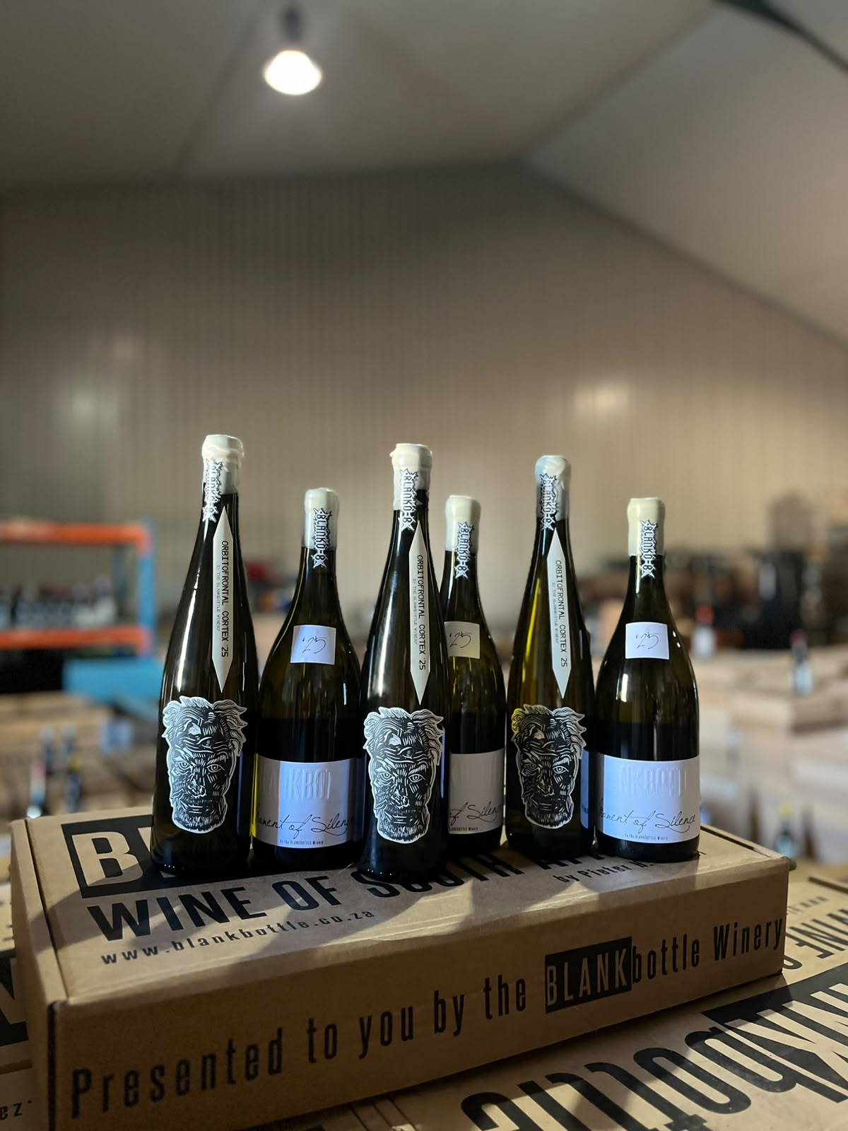 WHITES TO AGE - 6 bottle case